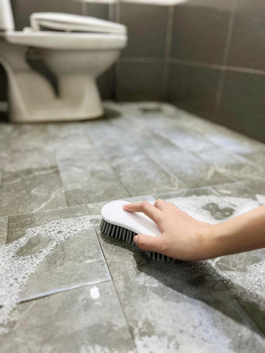 Bàn Chải Chà Sàn