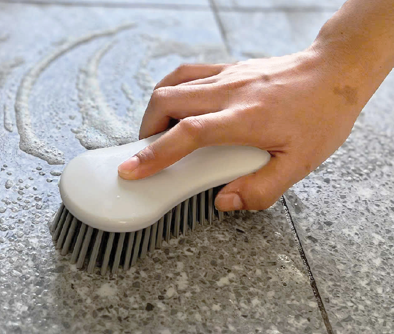 Bàn Chải Chà Sàn