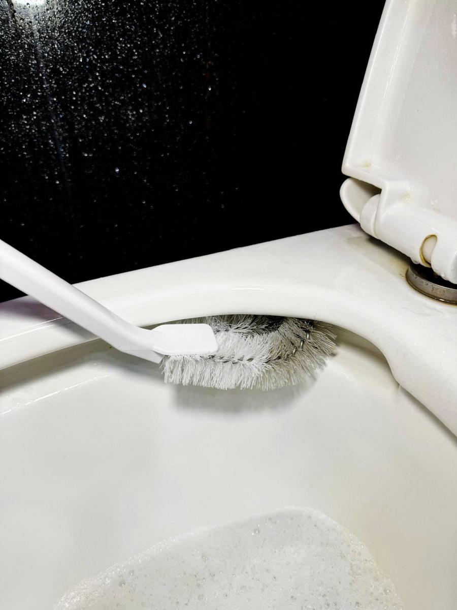 Cây Cọ Toilet Linh Hoạt