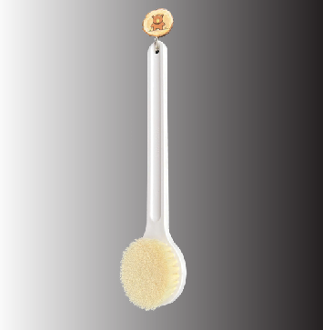 Bàn Chải Tắm Lông Mềm